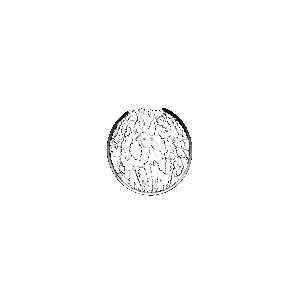 Trust Your Mind